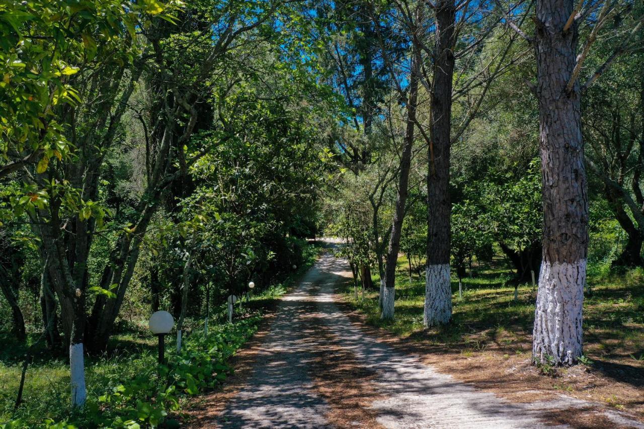 Postatiko Holiday Home Central Corfu Kynopiastai Bagian luar foto